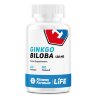 Fitness Formula Gingko-Biloba 120 мг (60 капс)