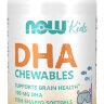 DHA Kid's Chewable Fruit-Flavor